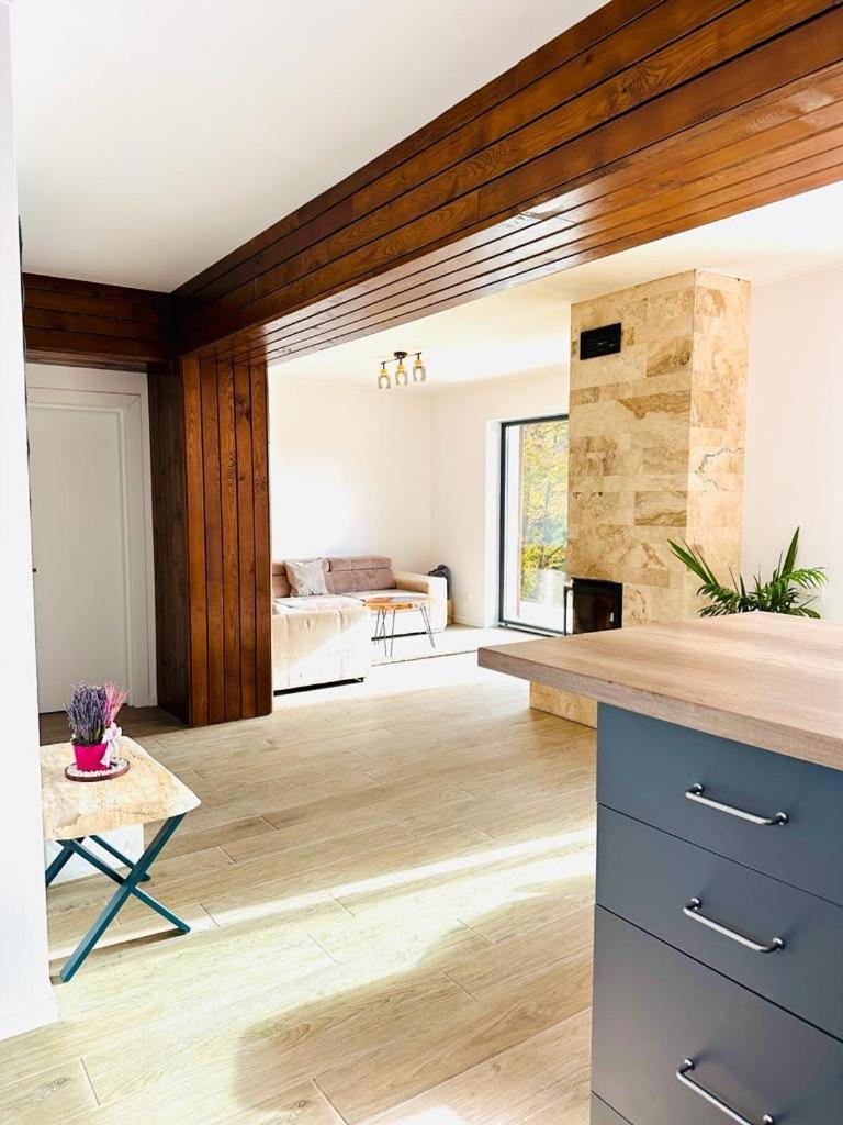 Stone House Sinaia Villa Ngoại thất bức ảnh