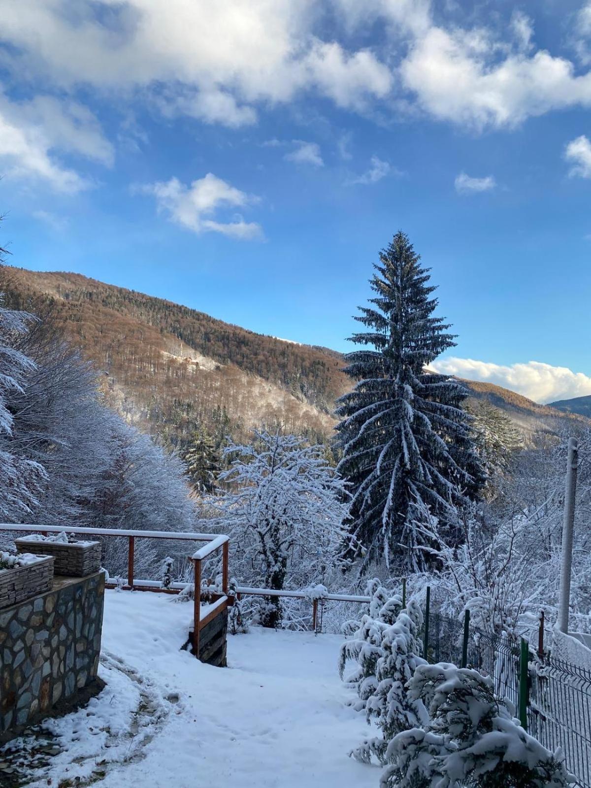 Stone House Sinaia Villa Ngoại thất bức ảnh